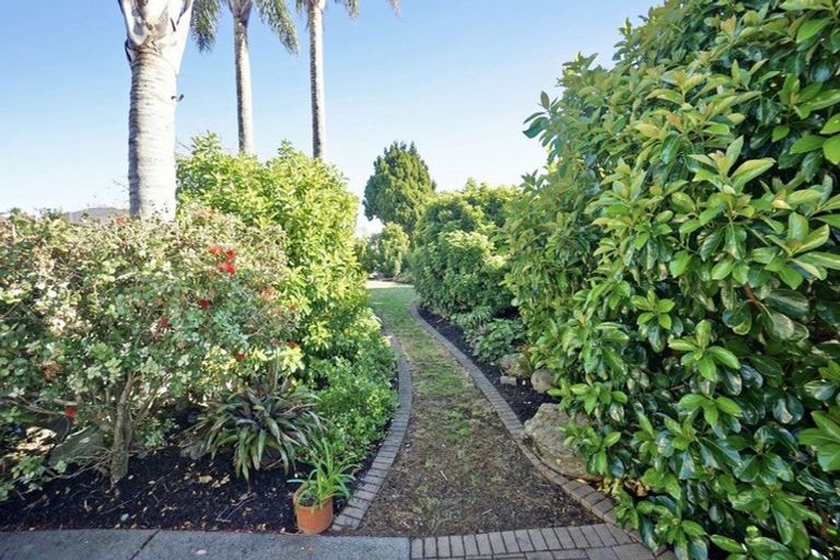 Photo of property in 48 Oxford Street, Te Puke, 3119