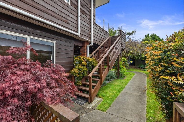 Photo of property in 38 Plateau Heights, Mount Maunganui, 3116