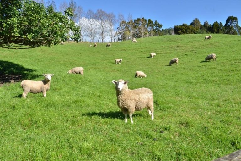 Photo of property in 264 Whitehills Road, Waitoki, Silverdale, 0994