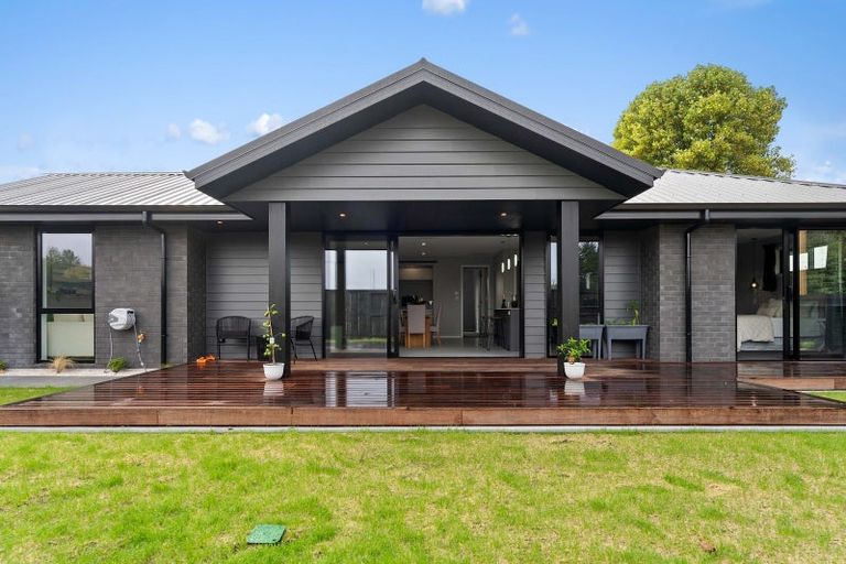 Photo of property in 5 Hauhake Terrace, Leamington, 3495