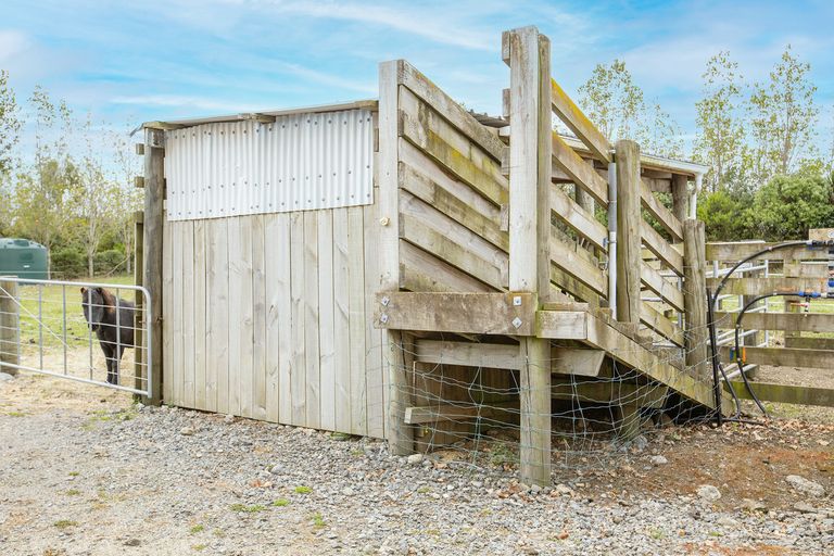 Photo of property in 29 Jordan Road, Waingawa, Carterton, 5791