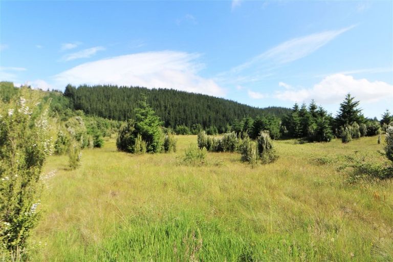 Photo of property in 147p Mount Lyford Forest Drive, Lyford, Waiau, 7395