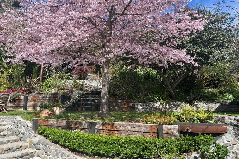 Photo of property in 40 Plassey Street, Havelock North, 4130