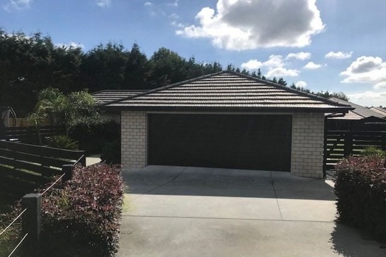 Photo of property in 202 Rowesdale Drive, Ohauiti, Tauranga, 3112