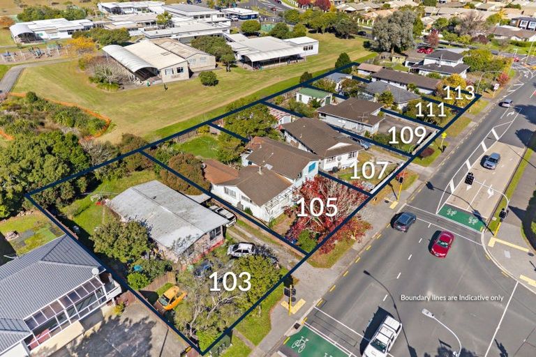 Photo of property in 103 Sunnynook Road, Forrest Hill, Auckland, 0620
