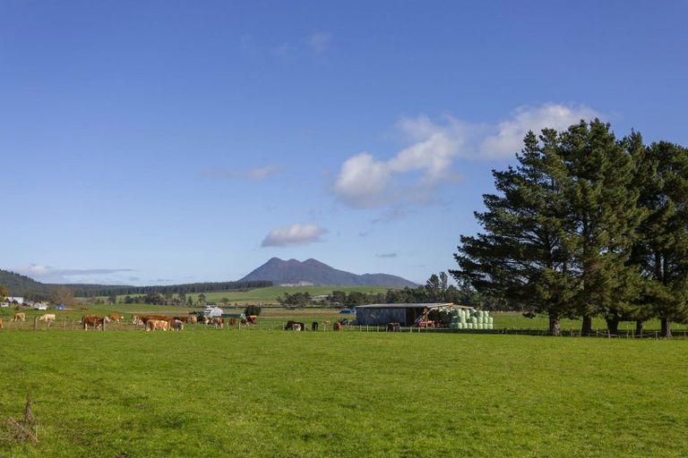 Photo of property in 180 White Road, Broadlands, Reporoa, 3081