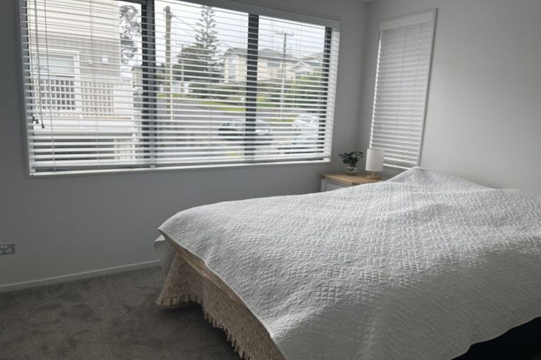 Photo of property in 48a Lyttelton Avenue, Forrest Hill, Auckland, 0620