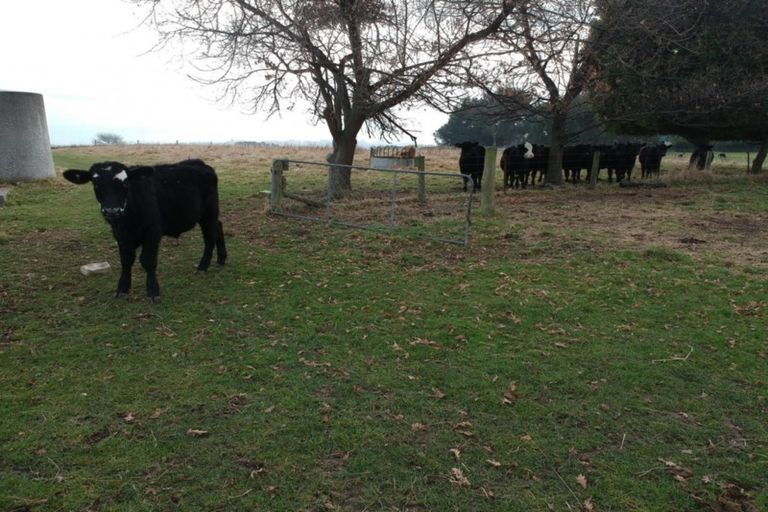 Photo of property in 6 Lot Rc, 280 Homestead Road, Weston, Oamaru, 9491