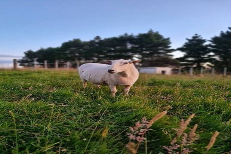 Photo of property in 350 Horokiwi Road, Horokiwi, Wellington, 5016