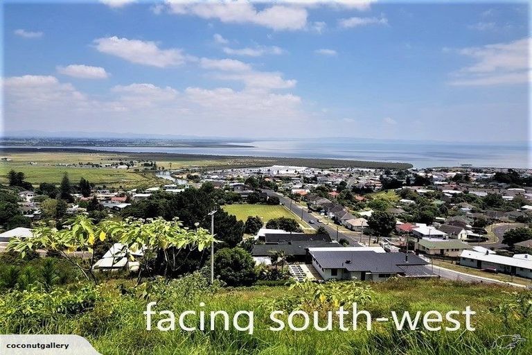 Photo of property in 210 Hauraki Terrace, Thames, 3500
