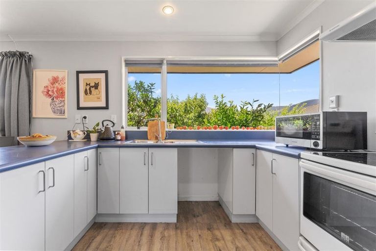 Photo of property in 34 Appaloosa Avenue, Richmond, 7020