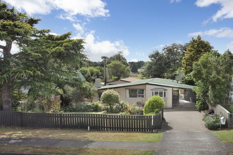 Photo of property in 47 Tutaenui Road, Marton, 4710