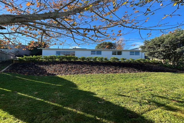 Photo of property in 163b Pembroke Street, Westown, New Plymouth, 4310