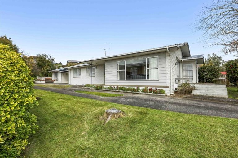 Photo of property in 12 Thomson Avenue, Dinsdale, Hamilton, 3204