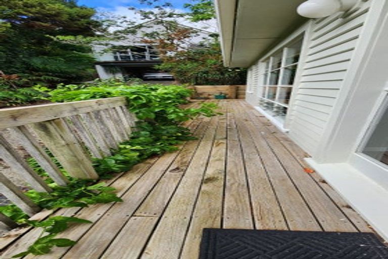 Photo of property in 38 Newhaven Terrace, Mairangi Bay, Auckland, 0630