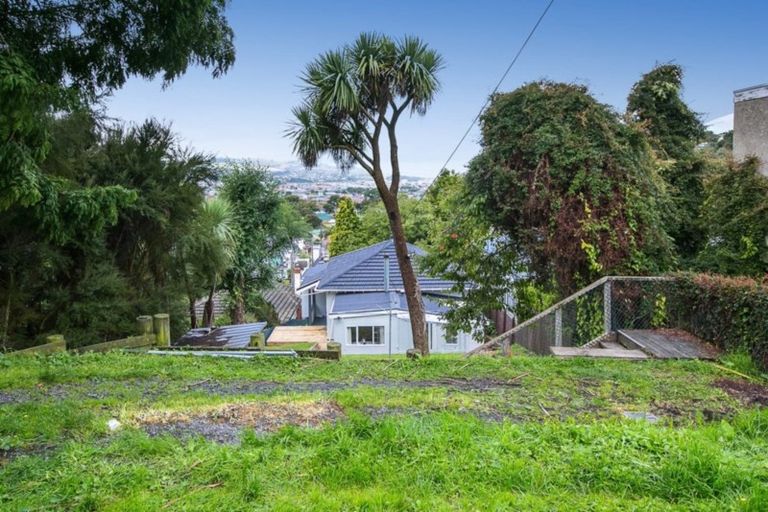 Photo of property in 52 College Street, Caversham, Dunedin, 9012