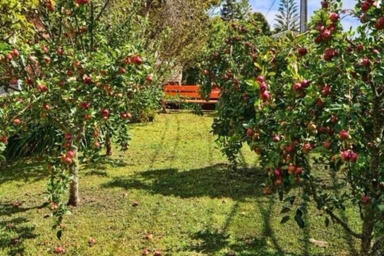 Photo of property in 19 Palm Grove, Belmont, Lower Hutt, 5010