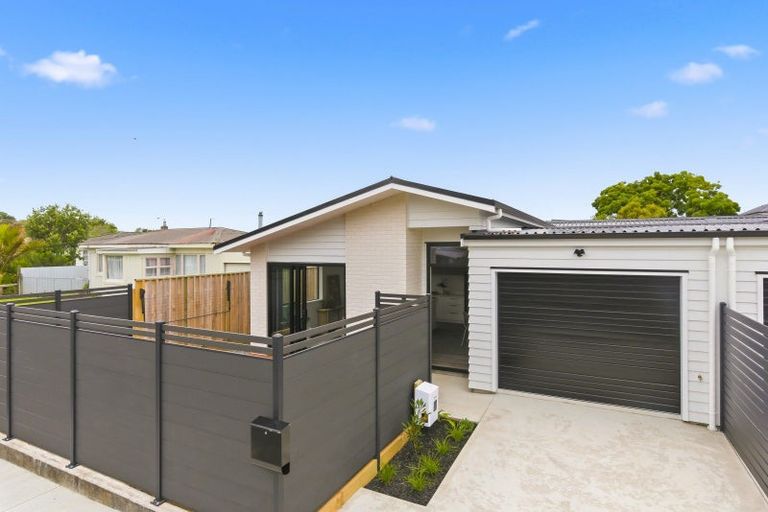 Photo of property in 1/17 Clark Street, Levin, 5510