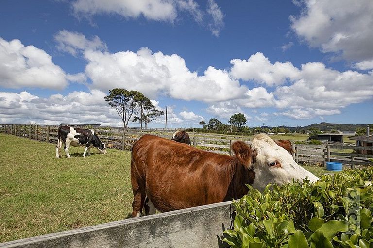 Photo of property in 118 Cottle Road, Taupaki, Henderson, 0782