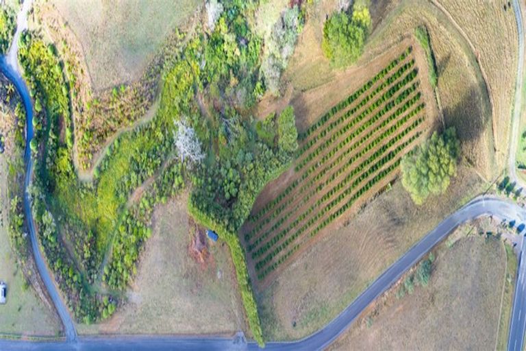 Photo of property in 145a Whakamarama Road, Whakamarama, Tauranga, 3179