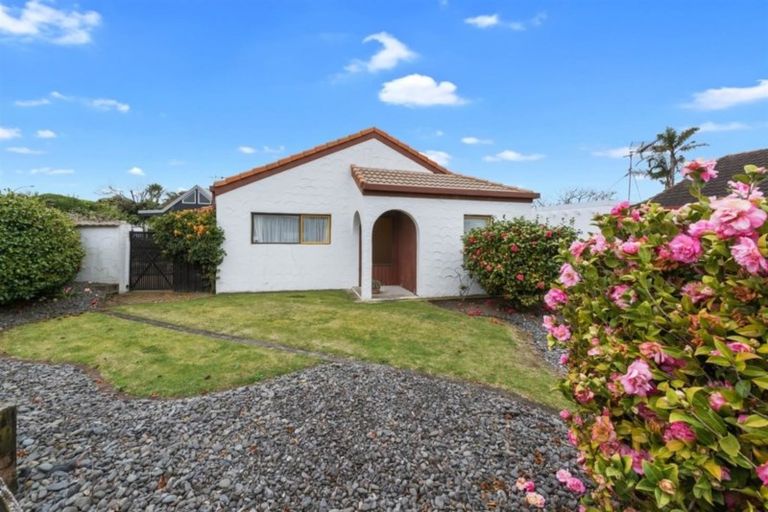 Photo of property in 8a Waitui Grove, Mount Maunganui, 3116