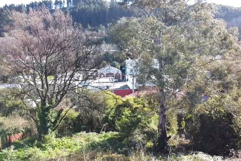 Photo of property in 21 Currie Street, Port Chalmers, 9023