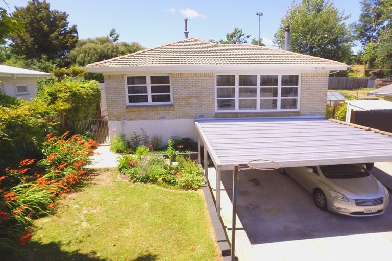 Photo of property in 54 Totara Street, Putaruru, 3411