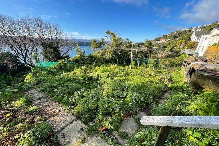 Photo of property in 57 Grafton Road, Roseneath, Wellington, 6011