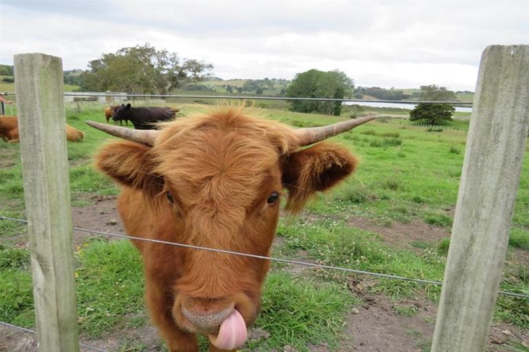 Photo of property in 23 Church Road, Matakohe, 0593