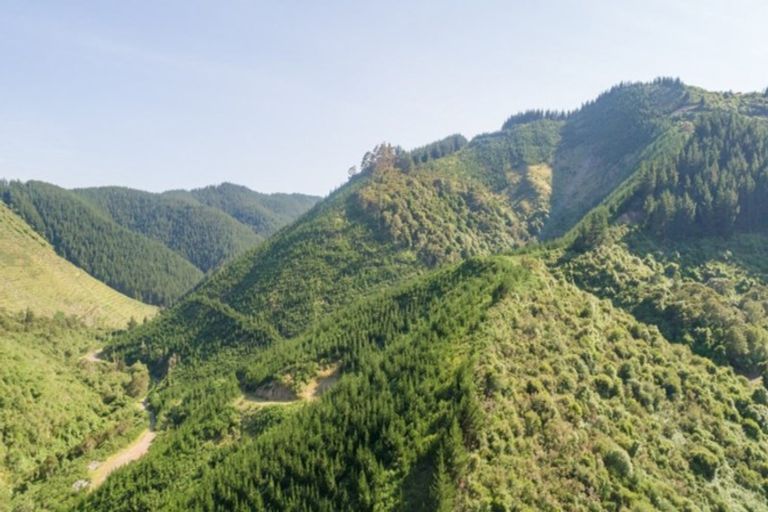 Photo of property in 641 Aniseed Valley Road, Aniseed Valley, Richmond, 7081