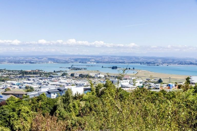 Photo of property in 17 Windsor Drive, Britannia Heights, Nelson, 7010