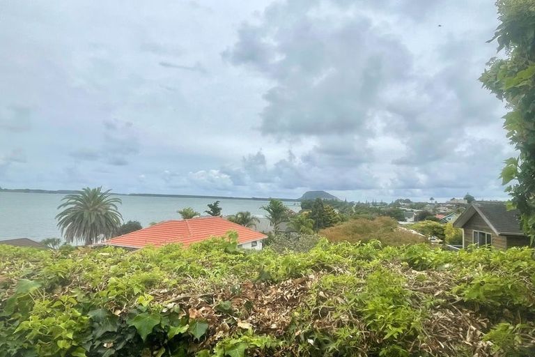 Photo of property in 115 Matua Road, Matua, Tauranga, 3110