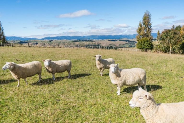 Photo of property in 10 Haggerty Street, Kimbolton, 4774