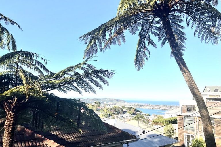 Photo of property in 25 Ariki Road, Hataitai, Wellington, 6021