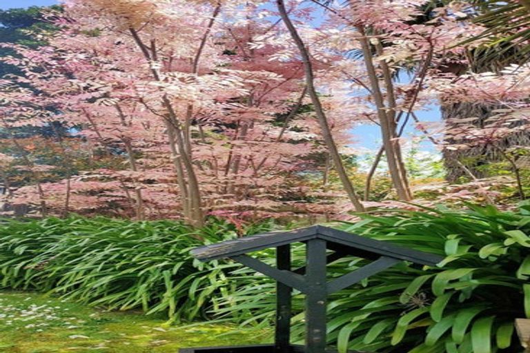 Photo of property in 906g Coalfields Road, Maramarua, Pokeno, 2471