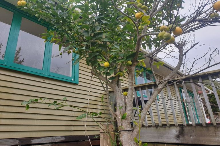 Photo of property in 48 Marshall Road, Kaiwaka, 0573