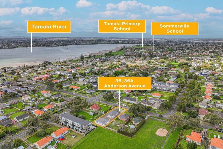 Photo of property in 36 Anderson Avenue, Point England, Auckland, 1072