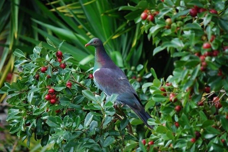 Photo of property in 49 Vale Road, Riverside, Whangarei, 0112