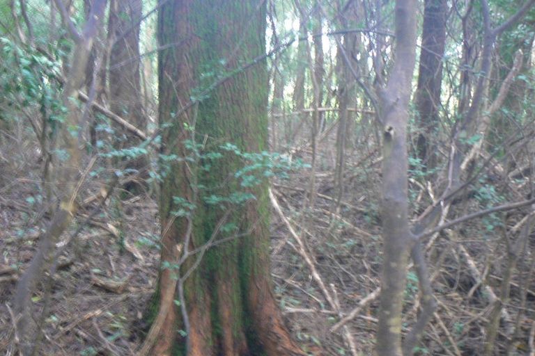 Photo of property in 6084 Mangakahia Road, Tautoro, Kaikohe, 0474