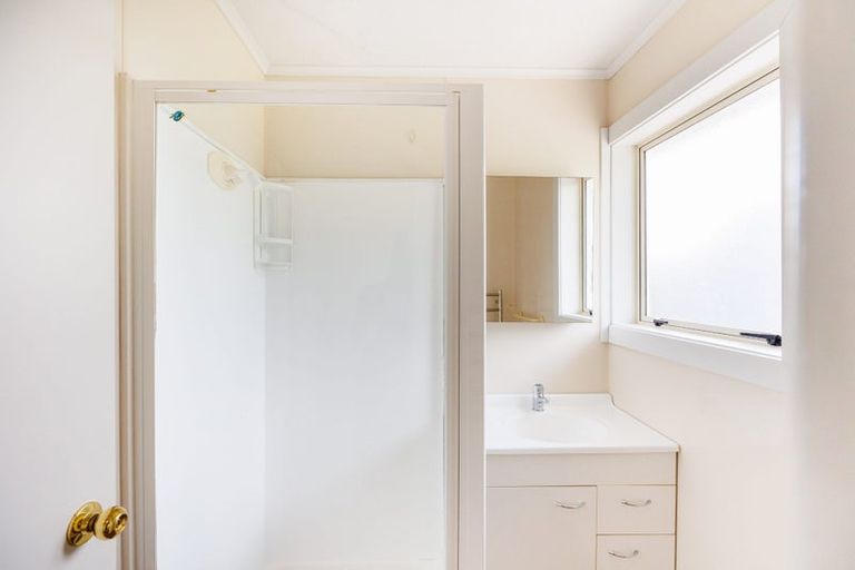 Photo of property in 102 Limbrick Street, Terrace End, Palmerston North, 4410