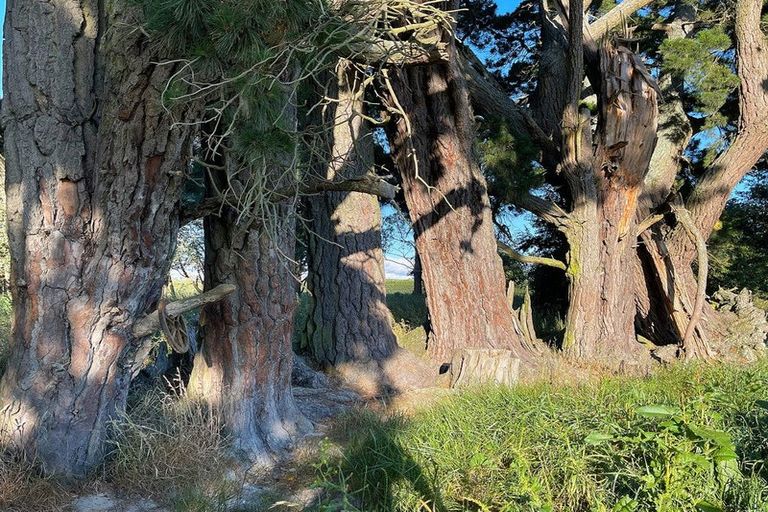 Photo of property in 48 Gardiners Road, Starvation Hill, 7495