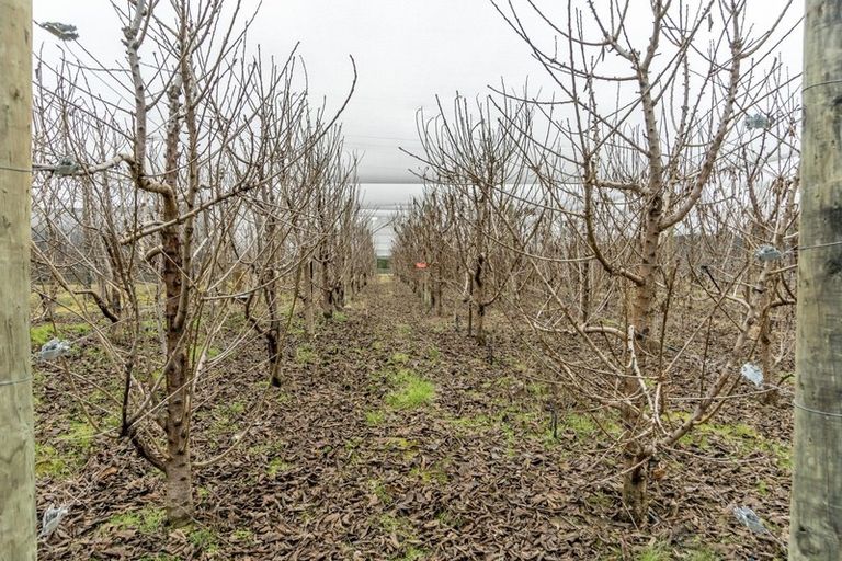 Photo of property in 101 Richards Beach Road, Cromwell, 9384