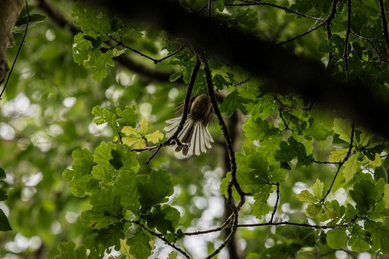 Photo of property in 2 Highfields Drive, Katikati, 3129