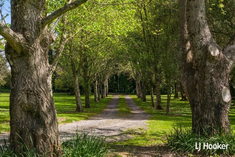 Photo of property in 58 Mcmillan Road, Tahawai, Katikati, 3170