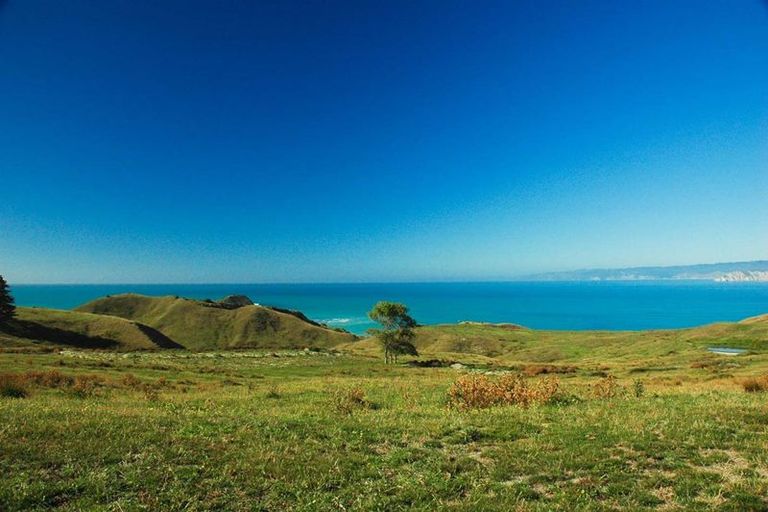 Photo of property in 15 Wallis Road, Kaiti, Gisborne, 4010