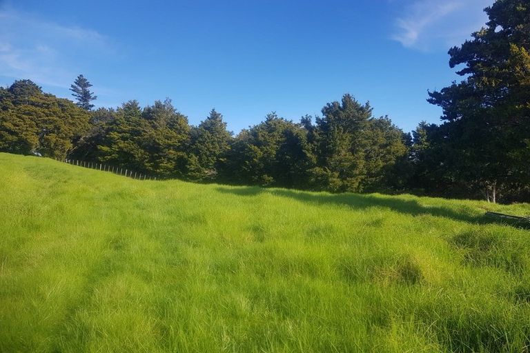 Photo of property in 725 Golden Stairs Road, Mareretu, Maungaturoto, 0589