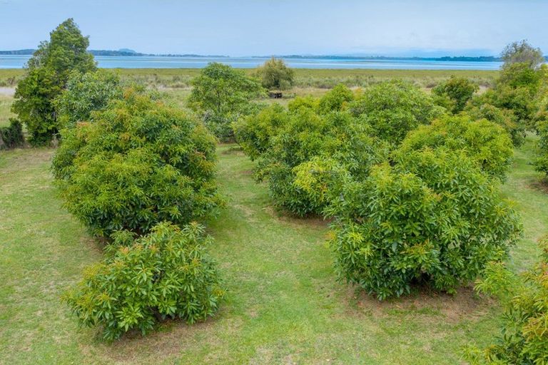 Photo of property in 380b Matahui Road, Aongatete, Katikati, 3181