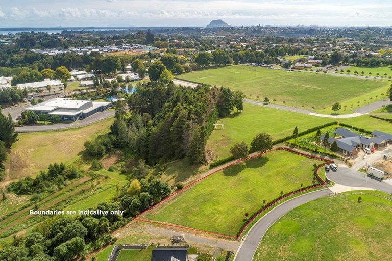 Photo of property in 16 Waiawa Lane, Bethlehem, Tauranga, 3110