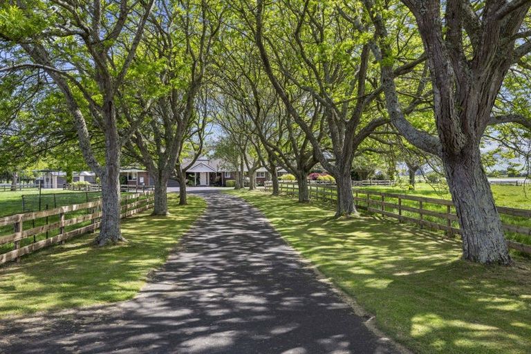 Photo of property in 155 Marshmeadow Road, Newstead, Hamilton, 3286