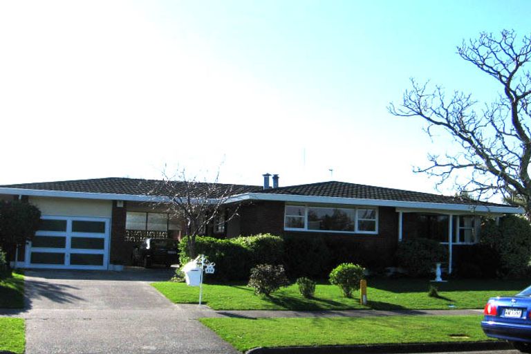 Photo of property in 115 Dittmer Drive, West End, Palmerston North, 4412